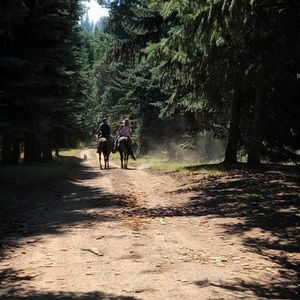 Meet your Posher, Sheila